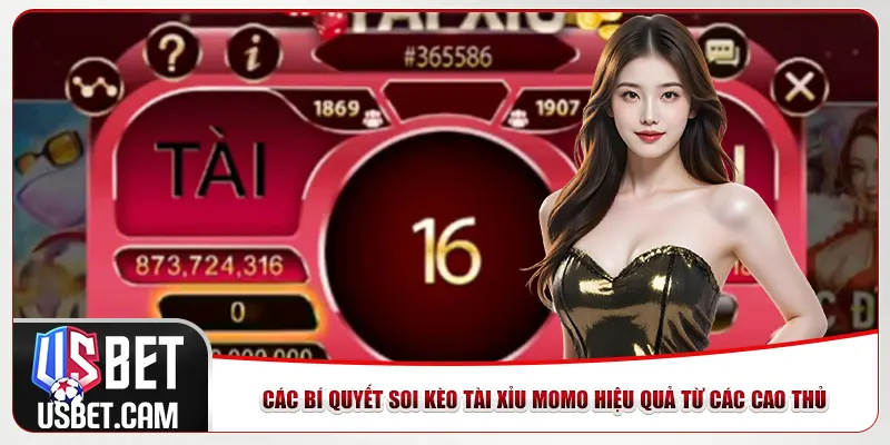 Các bí quyết soi kèo tài xỉu Momo hiệu quả từ các cao thủ