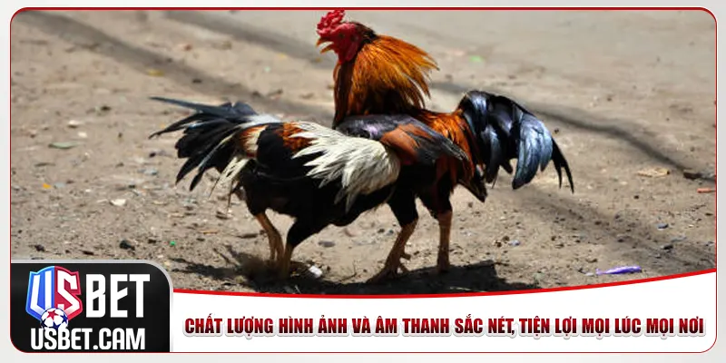 Chất lượng hình ảnh và âm thanh sắc nét, tiện lợi mọi lúc mọi nơi