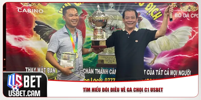 Tìm hiểu đôi điều về gà chọi C1 Usbet